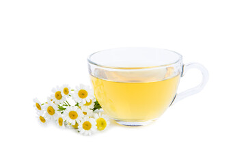 Herbal tea with fresh chamomile flowers isolated on white background. Calming and relaxing drink. Immunity.Cup of hot chamomile tea. Tea drinking concept. Tea ceremony.
