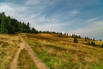 On the tourist trail.