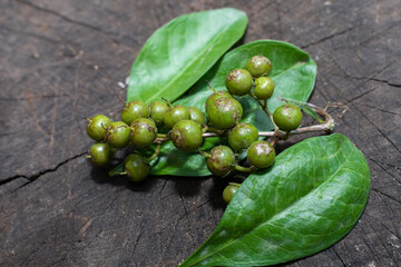 Henna ( Lawsonia inermis) leaves, fruit on wooden background, hair dye medicinal herbs