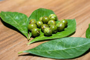 Henna ( Lawsonia inermis) leaves, fruit on wooden background, hair dye medicinal herbs