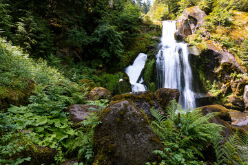 Obraz premium Triberger Wasserfälle im Schwarzwald in Baden-Württemberg in Deutschland mit Steinen und Wald