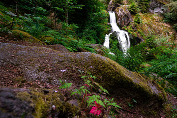 Triberger Wasserfälle im Schwarzwald in Baden-Württemberg in Deutschland mit Steinen und Wald
