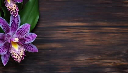 Orchid flower on wooden background. Top view with copy space.