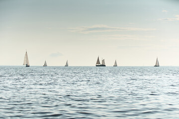 The sailing regatta, few boats on horizon line, sailing boats at sunset, still water, calm