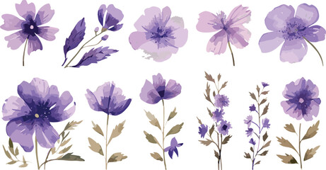 Fototapeta na wymiar watercolor purple flower clipart for graphic resources