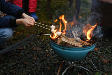 Fototapeta premium Enjoying Marshmallow Roasting Over Grill, Teenagers Cooking Marshmallows on Grill Fire, burning fire in compact grill, wood logs engulfed red flames