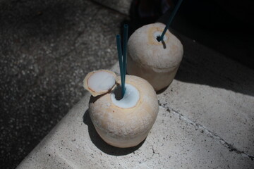 Young coconut