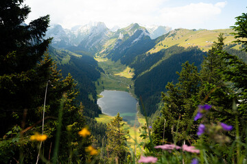 Sämtisersee im Appenzeller Land in St. Gallen in der Schweiz Berge mit See und Blumen im Vordergrund