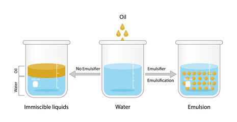 Emulsion, a mixture of two immiscible liquids (oil and water) in beaker, Emulsion oil in water, Immiscible liquids. Emulsification, emulsifier. isolated on white background. Vector illustration.