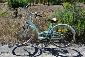 Bicicleta cl&aacute;sica en camino rural.