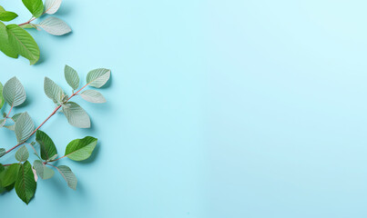 Fresh meadow mint leaves twig on a pastel blue background. Created by AI