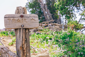 Close-up of wooden sign with word Trail