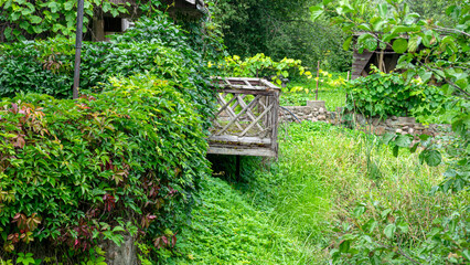 terrace of an old wooden house, wooden house on the river bank, moss covered roof