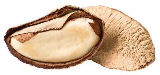 Two brazil nuts isolated on white background.