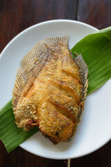Rhino fish fried