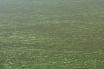 Algen im Mittellandkanal