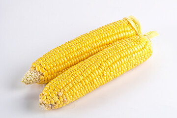 Sweet yellow raw corn cob