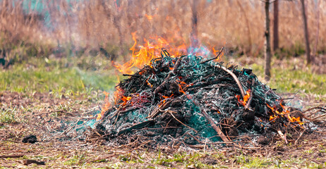 Burning dry grass on the ground in the forest. Close-up