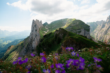 Saxer Lücke Berg in Appenzell in der Schweiz in den Alpen mit grüner Wiese und Blumen in den...