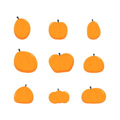 Pumpkin hand drawn illustration