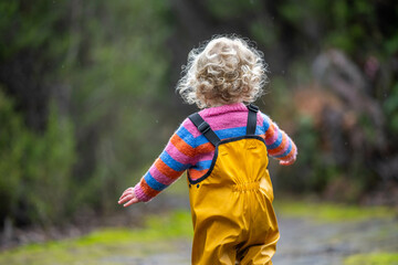 toddler exploring in the forest in the trees in australia