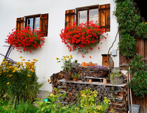 rustic windows with cute white curtains, wooden shutters and red geraniums on the window ledge and a pile of firewood in the Bavarian alpine countryside Schwangau in the German Alps, Bavaria, Germany	