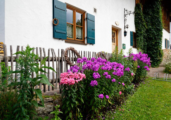 Fototapeta na wymiar idyllic scene with a traditional Bavarian rustic alpine farmhouse with lush purple summer flowers in front in Schwangau in the Bavarian Alps on August day (Bavaria, Germany) 