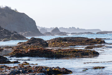 Anchor bay along rugged California coast, with sky, water, and rocks. © Dan Van Pelt