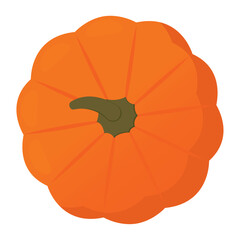 Top view of a pumpkin vegetable icon Vector