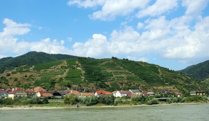 Entlang der Donau in der Wachau.