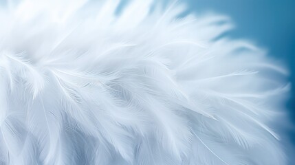 Fototapeta na wymiar snow white feathers, feathers close up, background texture, abstract. background of feathers, close-up