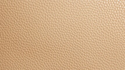 Pale golden leather fine, luxury structure for elegant background. Detailed textured of lavish beige leather.