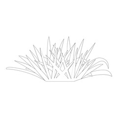Grass Nature 2D Outline Illustrations