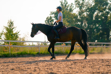 A horsewoman dressed in a helmet rides her beautiful black horse in a horse riding arena during a horseback ride