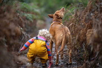 baby waling a dog on a lead in the wild forest together walking in a park in australia