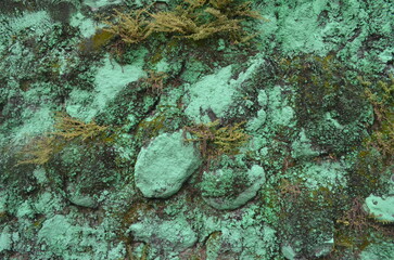 Green old wall