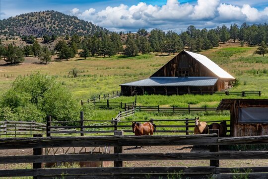 A barn on a cattle ranch near Mitchell in eastern Oregon.