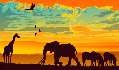mundo animal, jiarafa, elefante, cebras, atardecer, figuaras, vector, aves, aguila, nubes, amarillo, color naranja, paisaje, panormaica