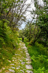 Cardada, Wanderweg, Wanderer, Wald, L&auml;rchenwald, Cortaccio, Orselina, Aussicht, Lago Maggiore, Luftseilbahn, Hausberg, Steinh&auml;user, Maggia-Delta, Locarno, Ascona, Sommer, Tessin, Schweiz