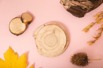 Podium or pedestal template mock up flat lay, top view. Autumn scene composition for cosmetics