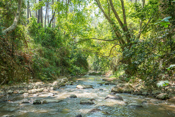 Obraz premium The Gökbük canyon is a hiden paradise and offers a magnificent view with a length of 5 km, endangered wildlife and many endemic plant species can be seen in the canyon.