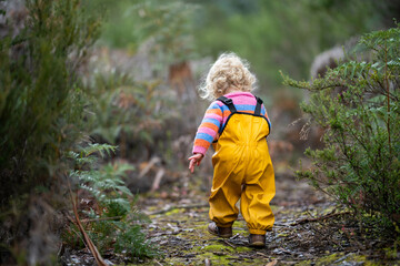 toddler exploring in the forest in the trees in australia