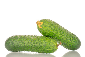 Two fresh green cucumbers, macro, isolated on white background.