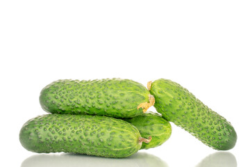 Four fresh green cucumbers, macro, isolated on white background.