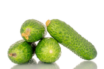 Four fresh green cucumbers, macro, isolated on white background.