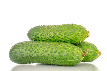 Three fresh green cucumbers, macro, isolated on white background.