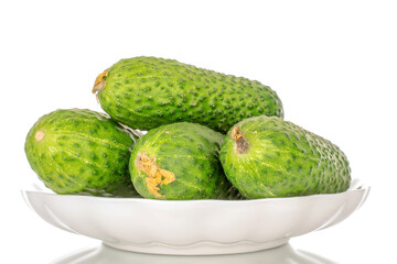 Several fresh green cucumbers on a white ceramic plate, macro, isolated on white background.