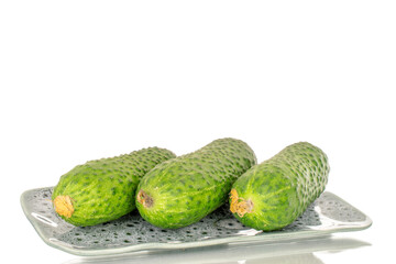 Three fresh green cucumbers on a ceramic plate, macro, isolated on white background.