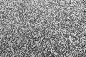 Abstract synthetic field grass