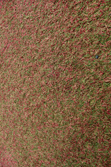 Abstract synthetic field grass